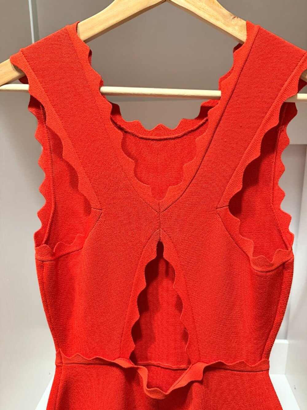 Alc Aldridge Dress In Geranio Red View 6